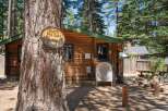 Discover the charm of this rustic Knotty Pine Cabin, nestled among tall trees.
