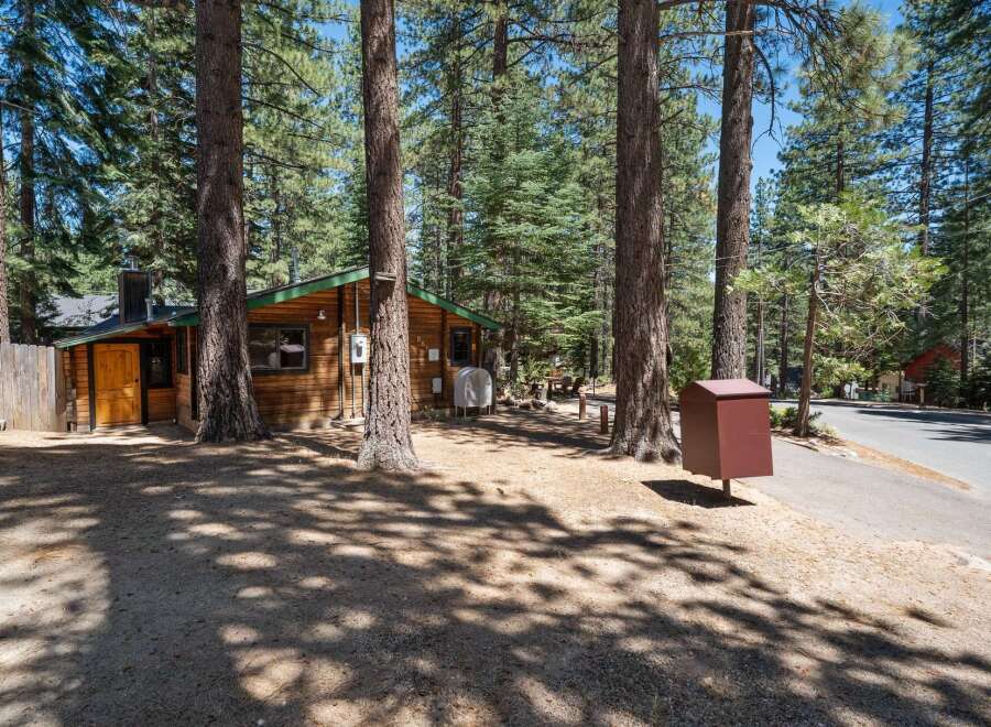 Nestled among tall pine trees, this charming cabin offers a serene mountain getaway.