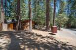 Nestled among tall pine trees, this charming cabin offers a serene mountain getaway.