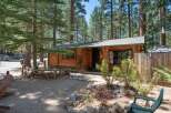 Charming log cabin nestled among tall pine trees, offering a serene mountain getaway.
