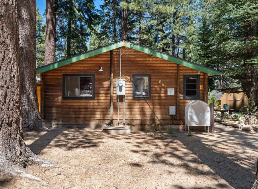 Nestled among tall pine trees, this charming log cabin offers a rustic retreat.