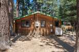 Nestled among tall pine trees, this charming log cabin offers a rustic retreat.