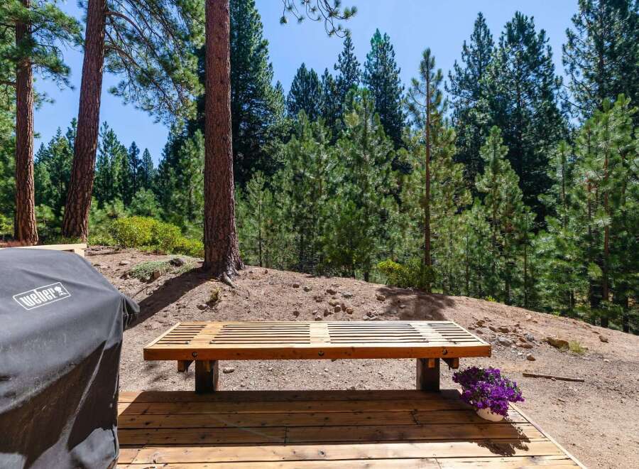 Enjoy the serene mountain lifestyle with this charming outdoor seating area, perfect for relaxing amidst the tall pine trees.