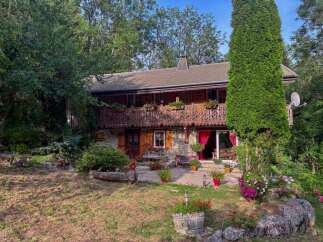 Nestled amidst lush greenery, this charming chalet offers a serene mountain retreat.
