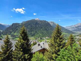Experience breathtaking mountain views from this stunning property, nestled amidst lush green forests and charming alpine villages.