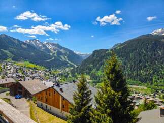 Experience breathtaking mountain views from this stunning property, nestled in a picturesque alpine village.