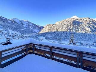 Experience breathtaking mountain views from this stunning property, perfect for a winter getaway.