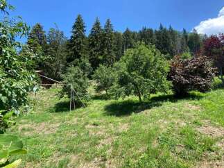 Discover this charming property nestled amidst lush greenery and mature trees, offering a serene and private retreat.