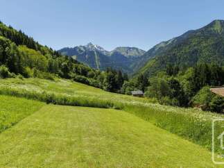 Experience breathtaking mountain views from this stunning property, nestled amidst lush green meadows and dense forests.