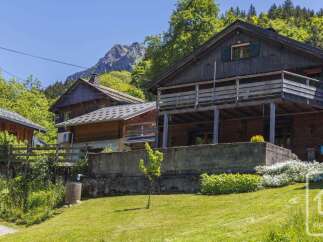 Nestled amidst lush greenery and a majestic mountain backdrop, this charming wooden chalet offers a serene escape.