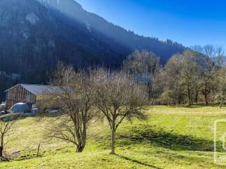 Nestled against a majestic mountain backdrop, this property offers a serene rural escape.