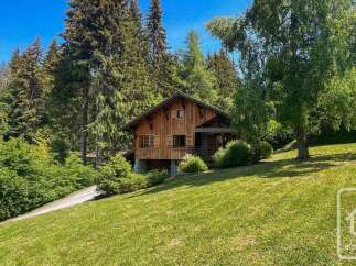 Nestled amidst lush greenery and towering pine trees, this charming wooden chalet offers a serene mountain retreat.