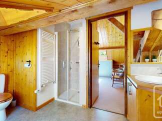 This charming bathroom features a rustic wooden interior with exposed beams, complemented by a modern toilet and a sleek glass-enclosed shower.