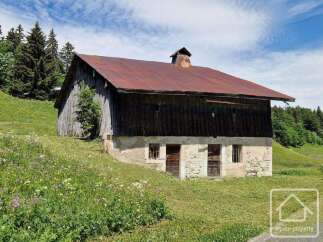 Discover this charming rustic barn nestled in a picturesque alpine setting.
