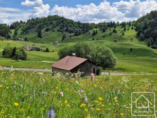 Discover this charming property nestled in a picturesque alpine meadow, perfect for those seeking tranquility and natural beauty.