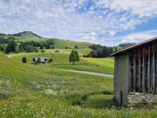 Nestled amidst rolling green hills and vibrant wildflowers, this property offers a serene escape.