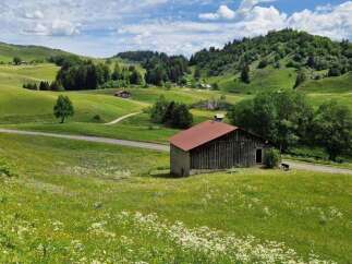 Discover this charming property nestled in a picturesque green landscape, featuring rolling hills and scattered trees.