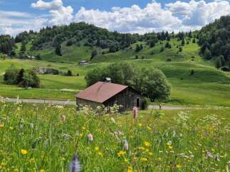 Discover this charming property nestled in a picturesque alpine landscape.
