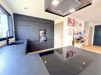 Experience modern living in this sleek kitchen featuring dark cabinetry and a spacious island with an induction cooktop.