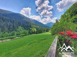 Experience breathtaking mountain views from this stunning property, nestled amidst lush green meadows and dense pine forests.
