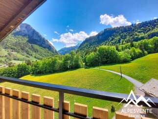 Experience breathtaking mountain views from this stunning property, featuring a vibrant green meadow dotted with yellow wildflowers.