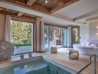 Experience ultimate relaxation in this luxurious spa room, featuring a built-in jacuzzi and large sliding glass doors that open to a serene forest view.