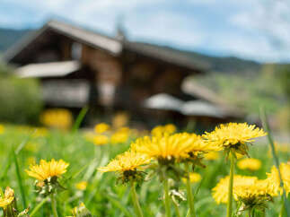 Chalet for sale in MEGEVE with 7 Beds
