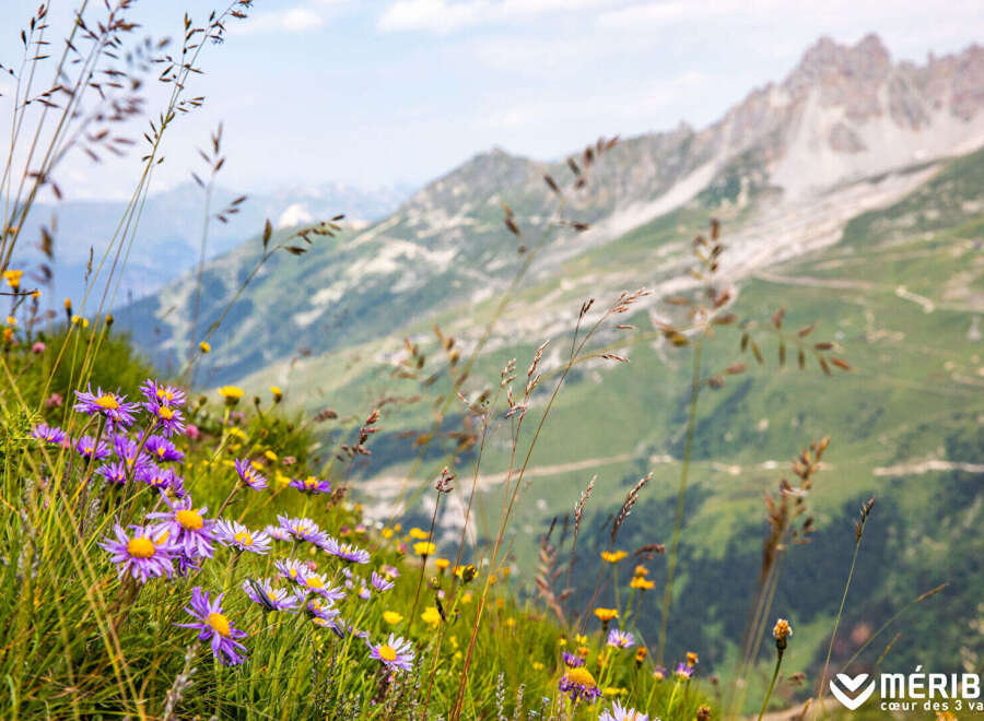 Experience the breathtaking beauty of the French Alps with this stunning mountain landscape.