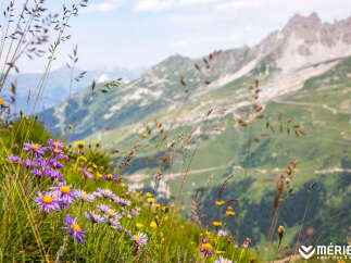 Experience the breathtaking beauty of the French Alps with this stunning mountain landscape.