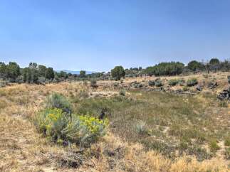 Discover this expansive rural landscape, perfect for those seeking tranquility and open space.