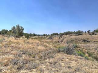 Discover this expansive, undeveloped land offering a serene natural landscape perfect for building your dream home or a private retreat.