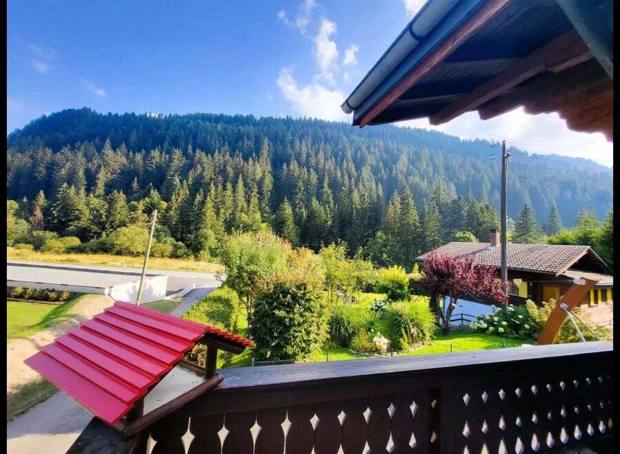 Experience serene mountain living with this charming property nestled amidst a lush evergreen forest.