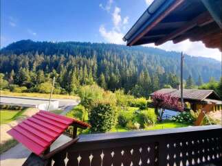 Experience serene mountain living with this charming property nestled amidst a lush evergreen forest.
