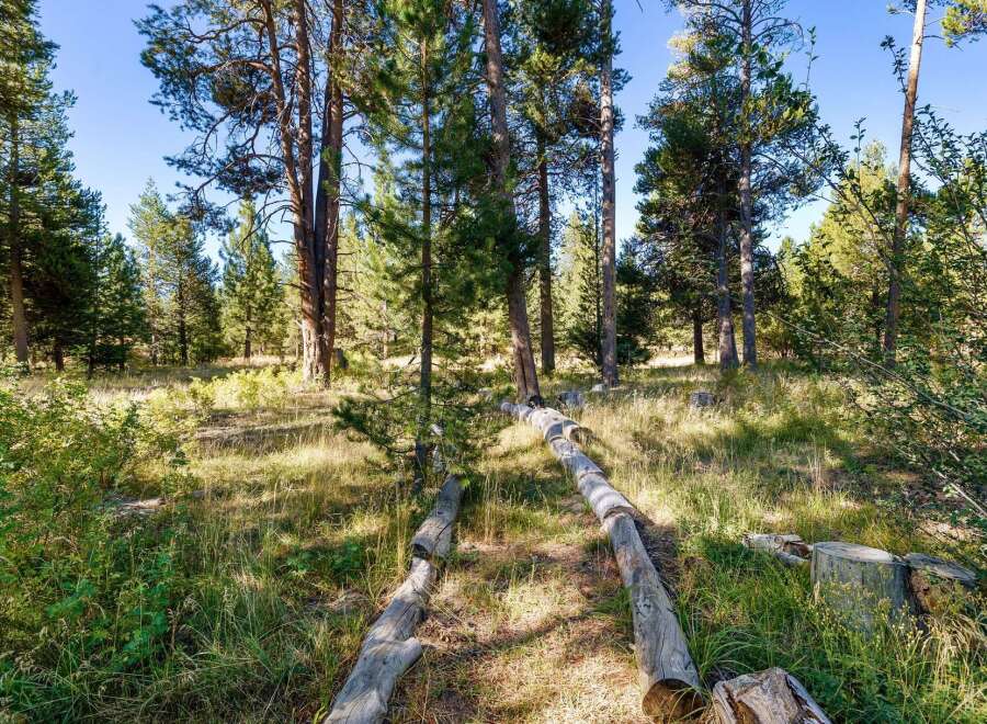 Discover the serene beauty of this wooded property, perfect for those seeking a peaceful retreat.