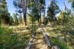 Discover the serene beauty of this wooded property, perfect for those seeking a peaceful retreat.