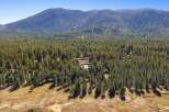 Nestled amidst a dense forest of mature pine trees, this property offers a serene and private mountain retreat.
