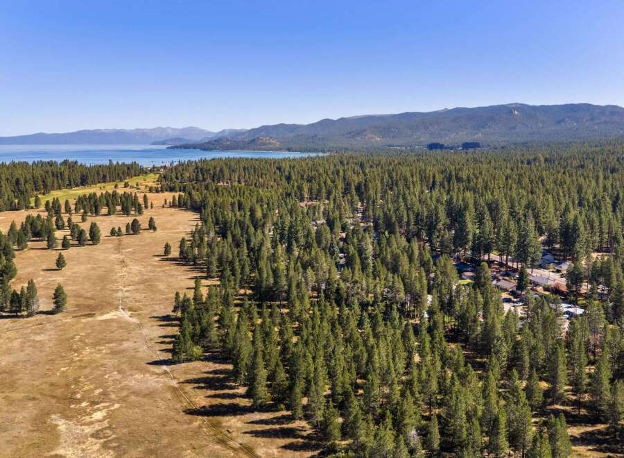 Experience the serene beauty of Lake Tahoe from this stunning aerial view, showcasing a vast expanse of lush pine forest bordering a tranquil lake.