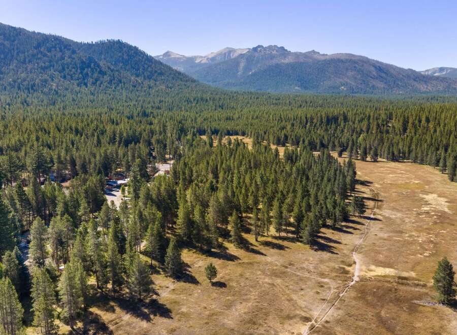 Discover this stunning property nestled amidst a vast, mature pine forest, offering unparalleled privacy and natural beauty.