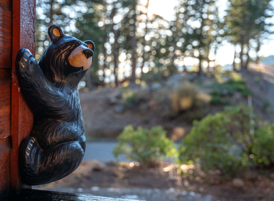 Embrace the rustic charm of this mountain retreat, featuring a delightful bear statue adorning the wooden exterior, hinting at the cozy, nature-inspired ambiance within.