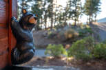 Embrace the rustic charm of this mountain retreat, featuring a delightful bear statue adorning the wooden exterior, hinting at the cozy, nature-inspired ambiance within.