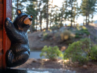 Embrace the rustic charm of this mountain retreat, featuring a delightful bear statue adorning the wooden exterior, hinting at the cozy, nature-inspired ambiance within.