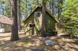 Nestled amongst tall pine trees, this charming green cabin offers a serene retreat.