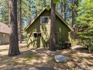 Nestled amongst tall pine trees, this charming green cabin offers a serene retreat.