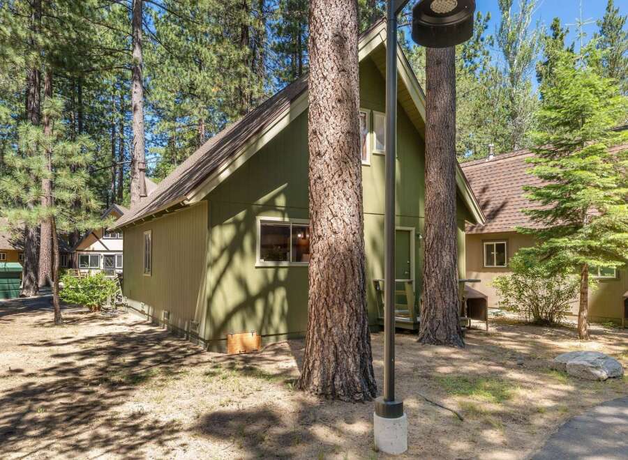 Nestled among tall pine trees, this charming green cabin offers a serene mountain getaway.