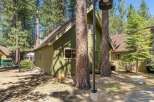 Nestled among tall pine trees, this charming green cabin offers a serene mountain getaway.