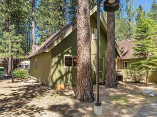 Nestled among tall pine trees, this charming green cabin offers a serene mountain getaway.