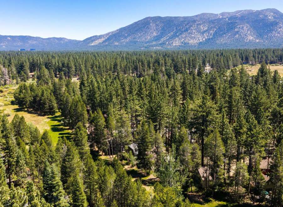 Nestled amidst a dense forest of towering pine trees, this property offers a serene and private retreat.