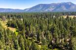 Nestled amidst a dense forest of towering pine trees, this property offers a serene and private retreat.