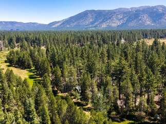 Nestled amidst a dense forest of towering pine trees, this property offers a serene and private retreat.
