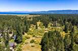 Experience the serene beauty of this expansive property, nestled amidst a lush pine forest with a meandering creek.